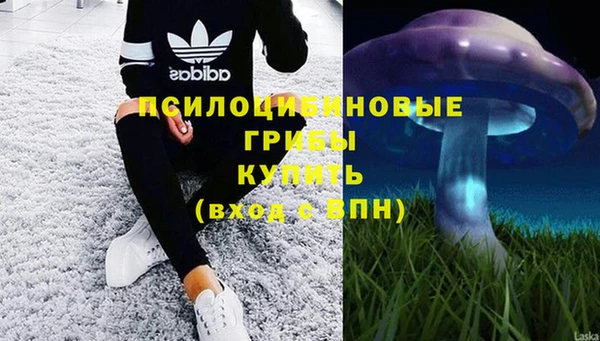 2c-b Алексеевка