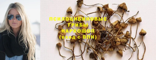 эйфоретик Алексин