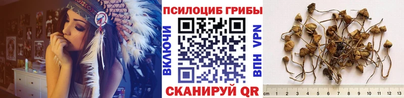 Псилоцибиновые грибы GOLDEN TEACHER купить наркотики сайты Воткинск